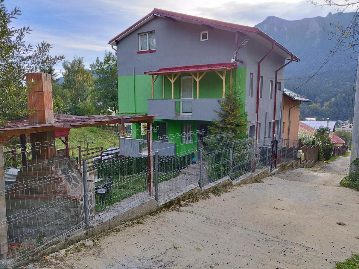 Vila Cri Cri Buşteni Zewnętrze zdjęcie