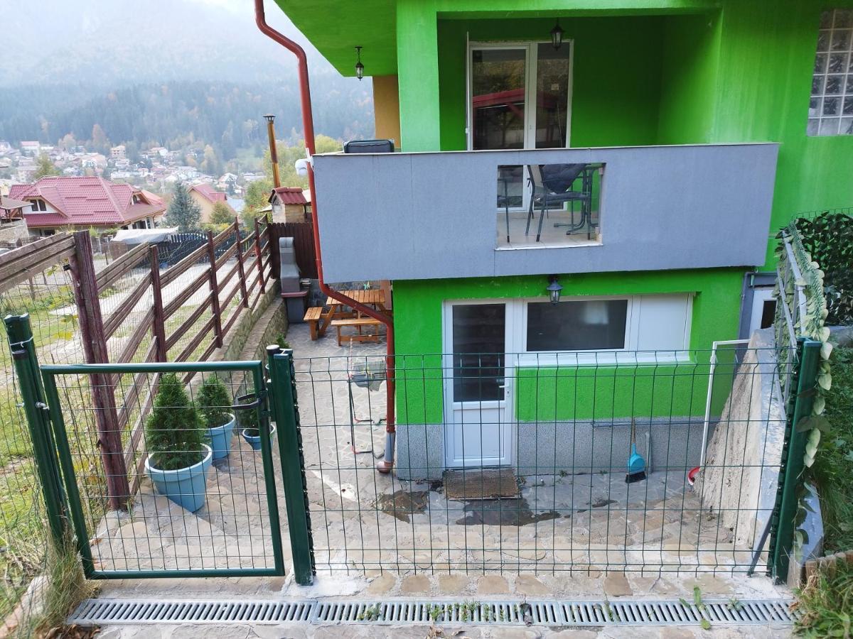 Vila Cri Cri Buşteni Zewnętrze zdjęcie