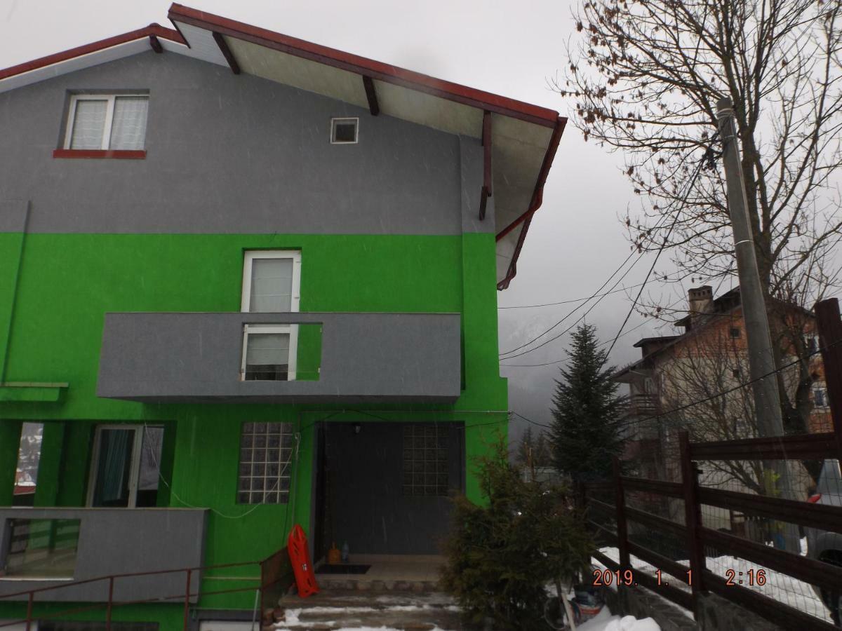 Vila Cri Cri Buşteni Zewnętrze zdjęcie